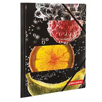 Папка на резинках BRAUBERG Fresh zone, А4, цветная печать, до 300 листов, 500 мкм, 228036 | код 228036 | BRAUBERG